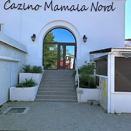 ホステル Cazino Nord *